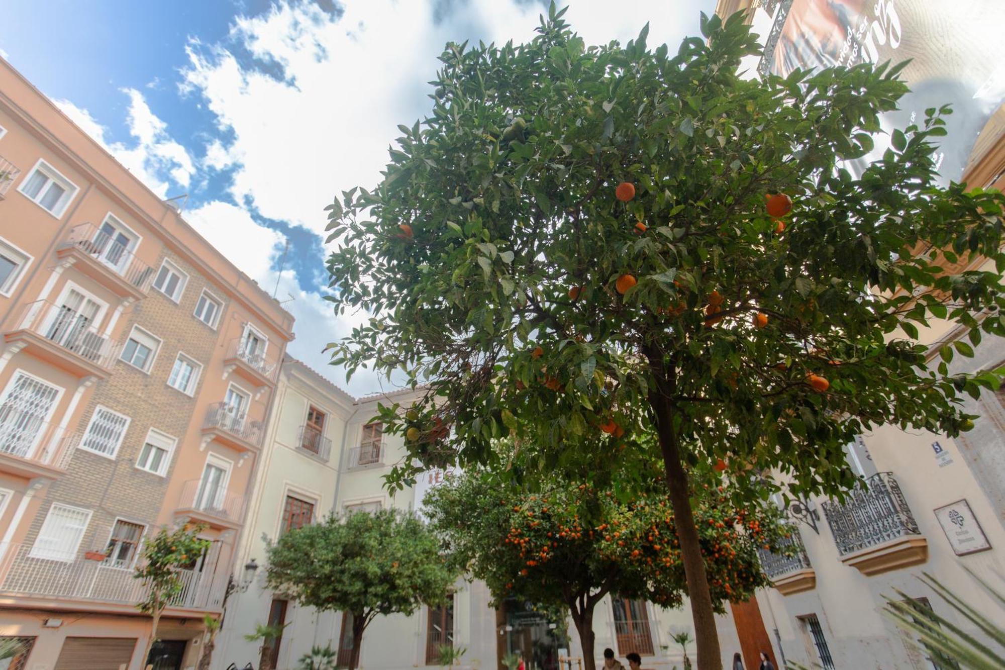 Tranquilo Apartamento En Plaza Cisneros Valencia Bagian luar foto